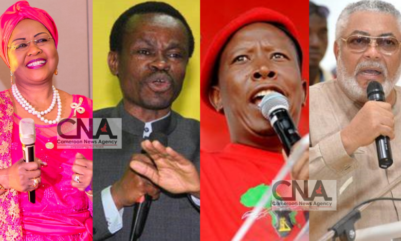 Four Pan Africanists Who Must Sit On AU Decision Making Table